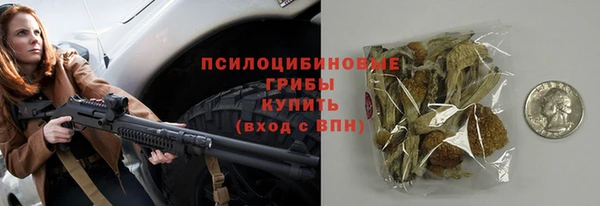 бошки Аркадак