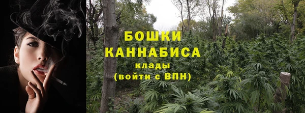 бошки Арсеньев